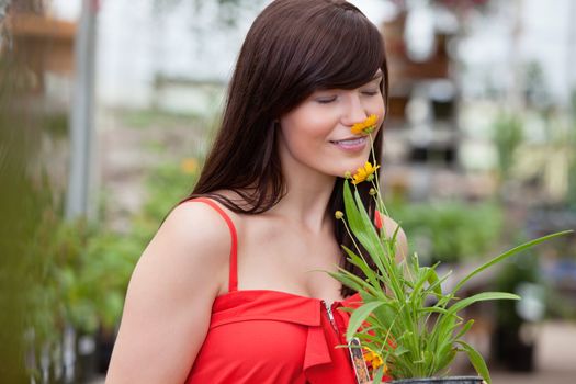 Attractive woman holding potted plant and smelling flower
