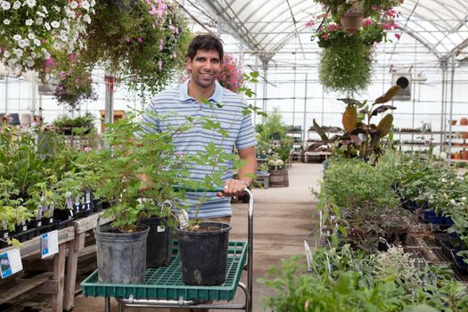 Young man with potted plants on cart at a garden centre
