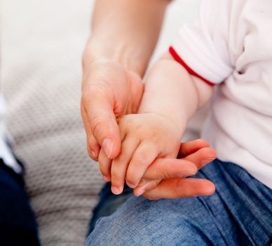 Detail of a small toddler boy holding his mothers hand