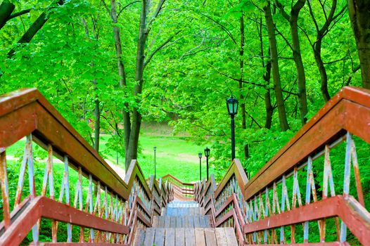 Wooden staircase in the protected forest