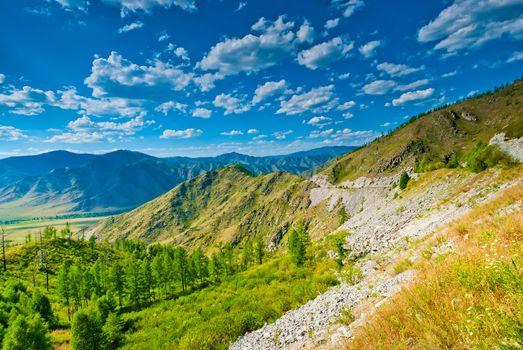 Summer mountain landscape in sunny weather. Altai.