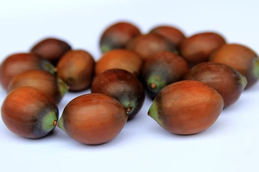 lotus seeds on white background