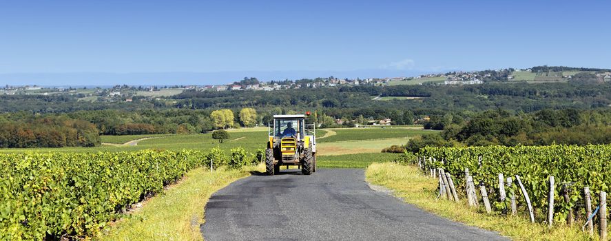 tractor with trailer on the road in autumn