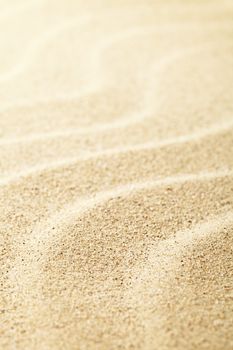 Sand background for summer. Sandy beach texture. Macro shot. Copy space