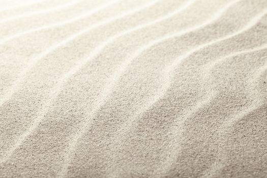 Beach sand as background, close up view