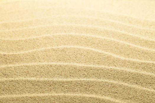 Sand background. Summer beach close up view