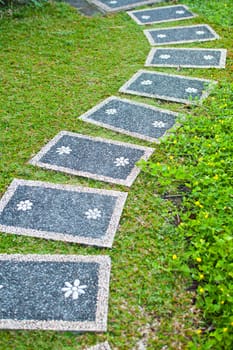 The Stone block walk path in green grass background