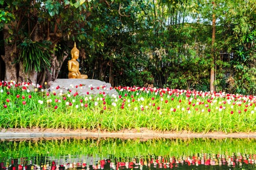 Buddha statue under the bodhi tree at puntao temple in chiang mai, thailand