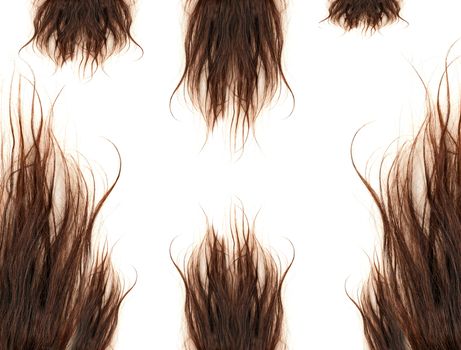 brown hair isolated on the white background