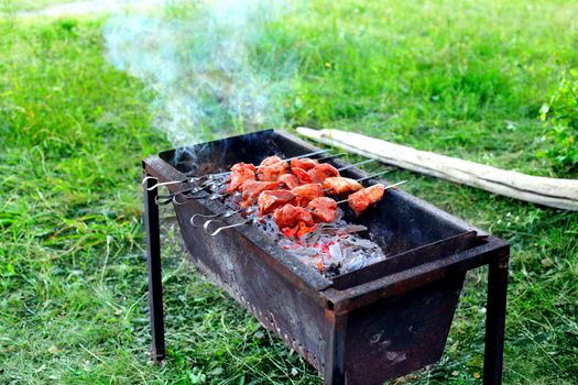 shish kebab cooking on the nature