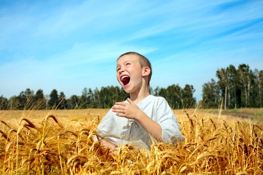 happy boy in the summer field