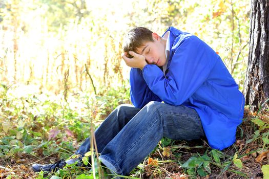 sad teenager sitting in the autumn forest alone