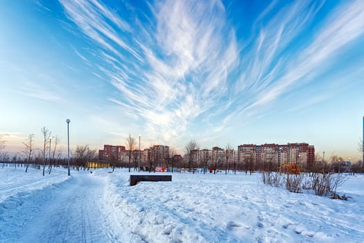 Winter landscape in the city park of St. - Petersburg