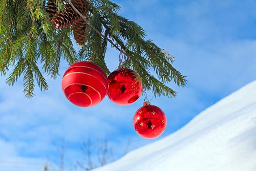 Christmas decoration red glass balls on fir branches