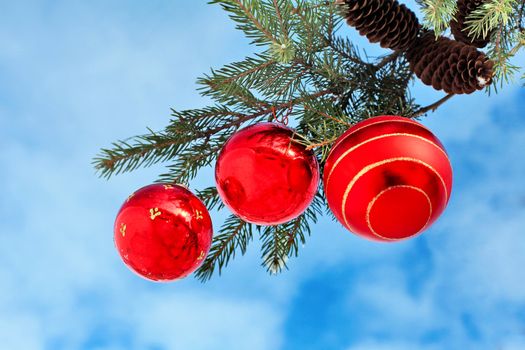 Christmas decoration red glass balls on fir branches