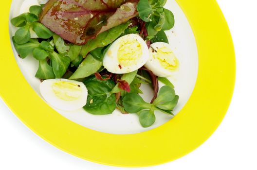 Salad with Greens, Chard, Quail Eggs and Corn Salad on Yellow Plate closeup on white background
