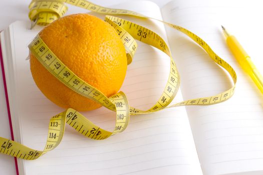 meter and nutrition diary isolated with soft shadow over white background