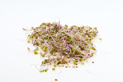 The healthy diet. Fresh sprouts isolated on white background 