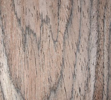 Texture of Natural Wood Vertical Pattern Background