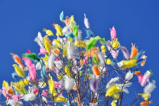 Many sharp and blurry feathers in a tree top against blue sky