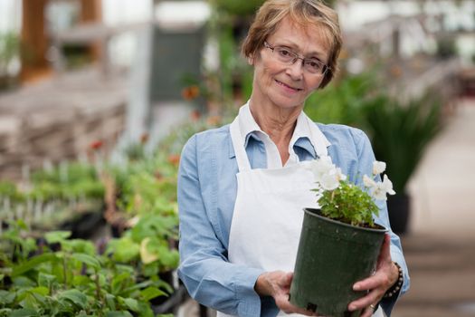 Portrait of smiling senior woman holding potted plant