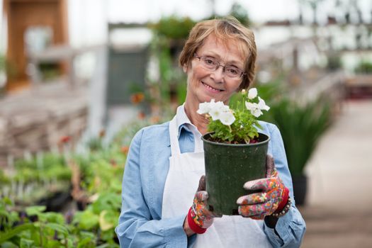 Portrait of smiling senior woman holding flower pot