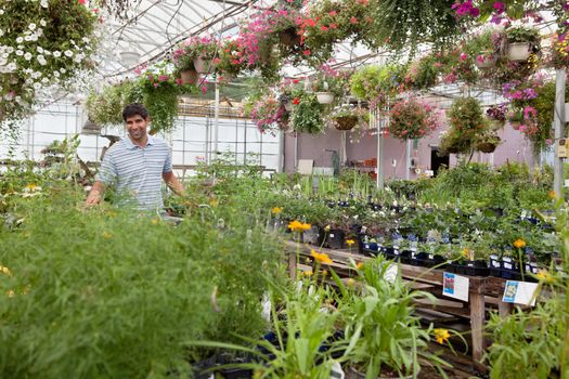 Smiling young man walking through the garden centre