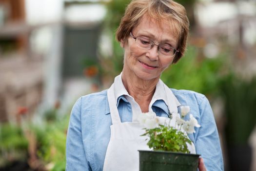 Smiling senior woman looking down at potted plant