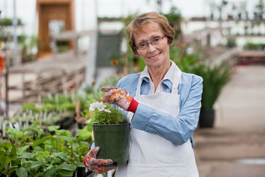 Portrait of senior female worker holding flower pot