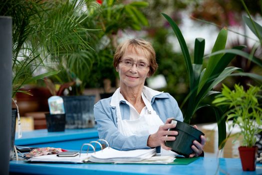 Portrait of a senior woman standing at check out counter in garden center