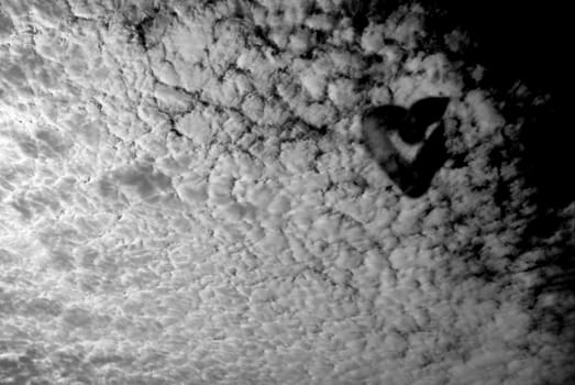 Heart in the Clouds