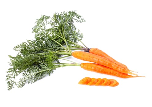 orange carrots with green leaves isolated over white