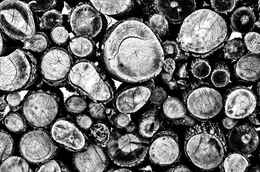 Firewood up-close black and white as a background.