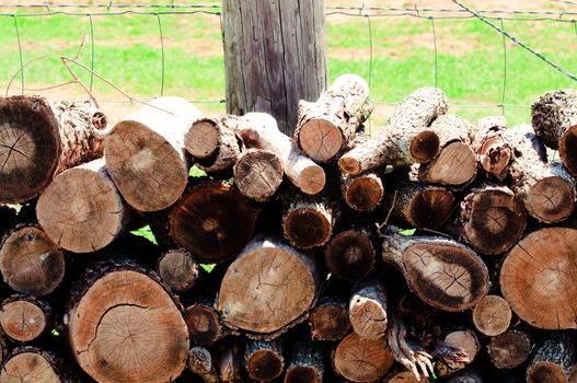 Pile of firewood next to a fence