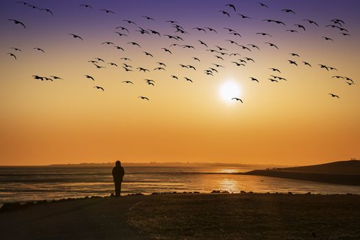 Young woman on the coast against the light at sunset evening