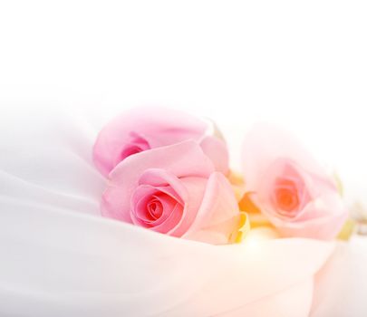 pink roses on a white silk