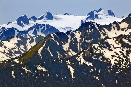 Snow Mountains Hurricane Ridge Olympic National Park Washington State Pacific Northwest Closeup Evergreen