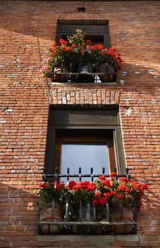 Red Geraniums Red Brick Building Windows Leavenworth Washington, October 10, 2008