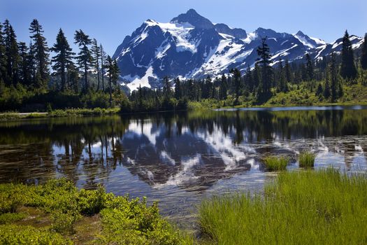 Reflection Lake Mount Shuksan Mount Baker Highway Snow Mountain Grass Trees Washington State Pacific Northwest
