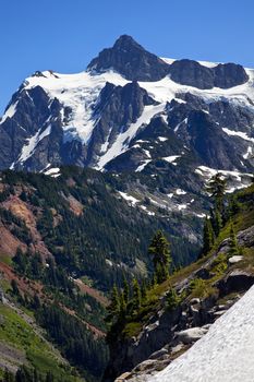 Snow Evergreens Artist Point Mount Shuksan Mount Baker Highway Snow Mountain Washington State Pacific Northwest