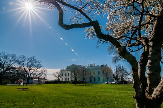 The White House in Washington DC with beautiful blue sky