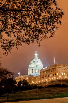 US Capitol Building in spring- Washington DC, United States