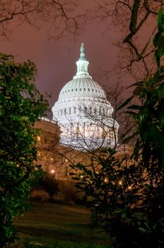 US Capitol Building in spring- Washington DC, United States