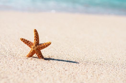 Summer vacations - starfish on sunset sea sand beach