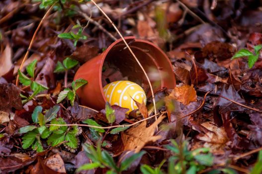 easter eggs hidden in backyard for children to find them