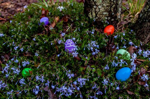 easter eggs hidden in backyard for children to find them