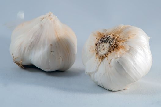 Garlic isolated on white background