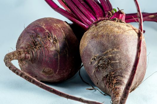 two beetroots over white background