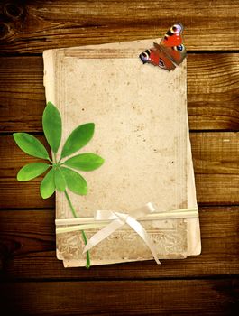 Old cards, green leaf and butterfly on wooden planks