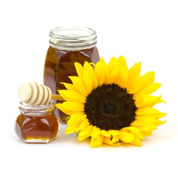 honey and sunflower on white background